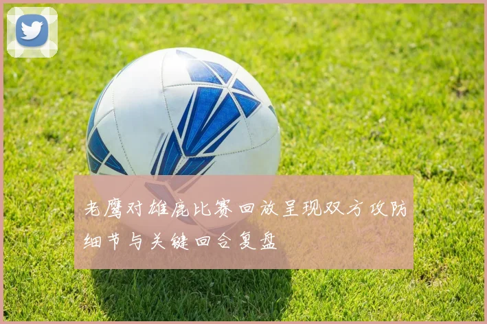 老鹰对雄鹿比赛回放呈现双方攻防细节与关键回合复盘