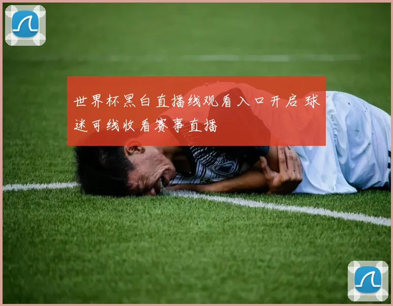 世界杯黑白直播线观看入口开启 球迷可线收看赛事直播