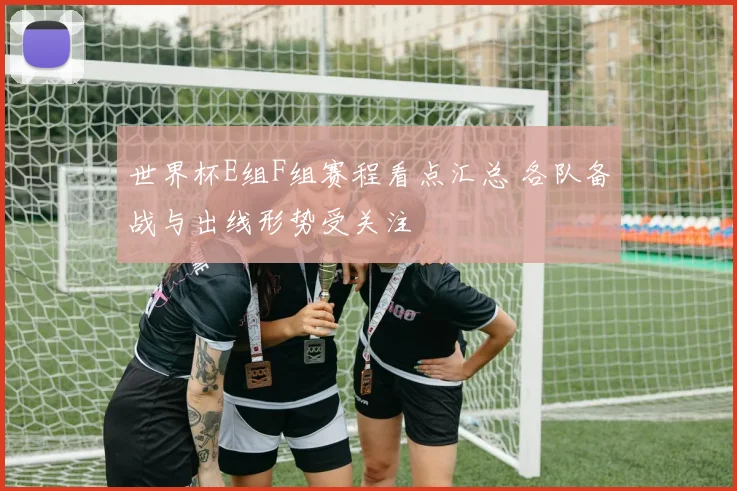 世界杯E组F组赛程看点汇总 各队备战与出线形势受关注