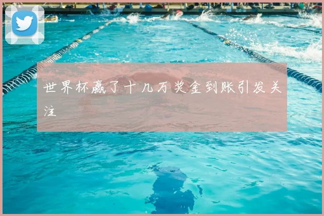 世界杯赢了十几万奖金到账引发关注
