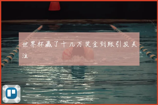 世界杯赢了十几万奖金到账引发关注