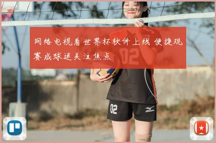网络电视看世界杯软件上线 便捷观赛成球迷关注焦点